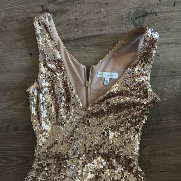 Dress the Population reign sequin fringe gown - Picture 6 of 7